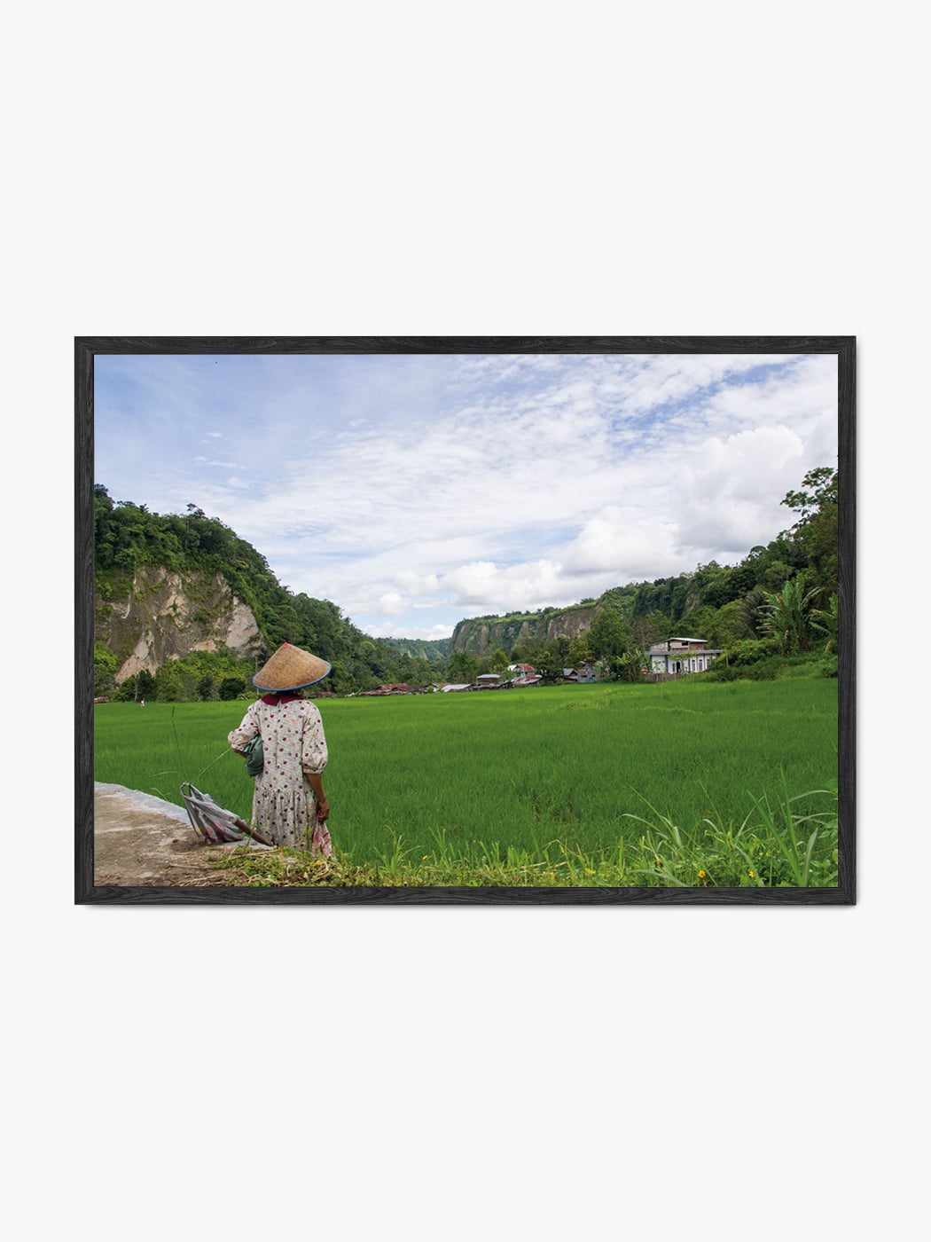 Obraz akustyczny ze zdjęcia - Wietnamka w azjatyckim kapeluszu stożkowym na tle zielonych pól ryżowych - Mateusz Kotlarski