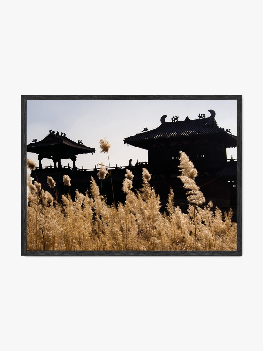 Obraz akustyczny ze zdjęcia - Liście traw w słońcu na tle pagody - Mateusz Kotlarski