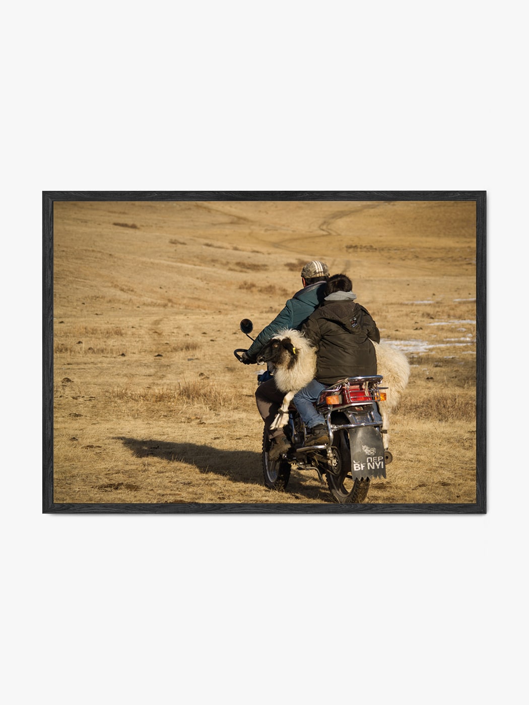 Obraz akustyczny ze zdjęcia - Mężczyźni na motorze - Mateusz Kotlarski