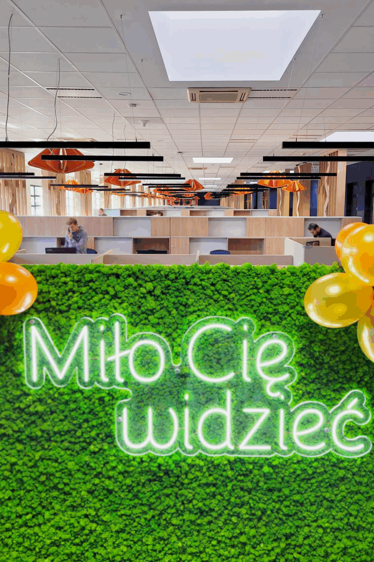 Adaptacja akustyczna - lampa dźwiękochłonna Lamp
